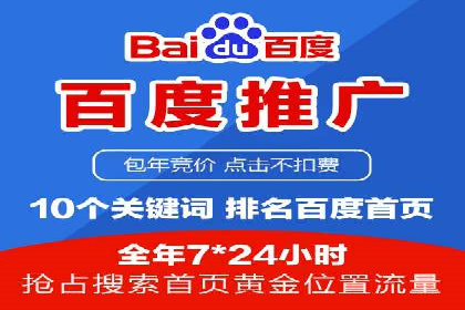百度推广成功案例：打造行业领军品牌之路